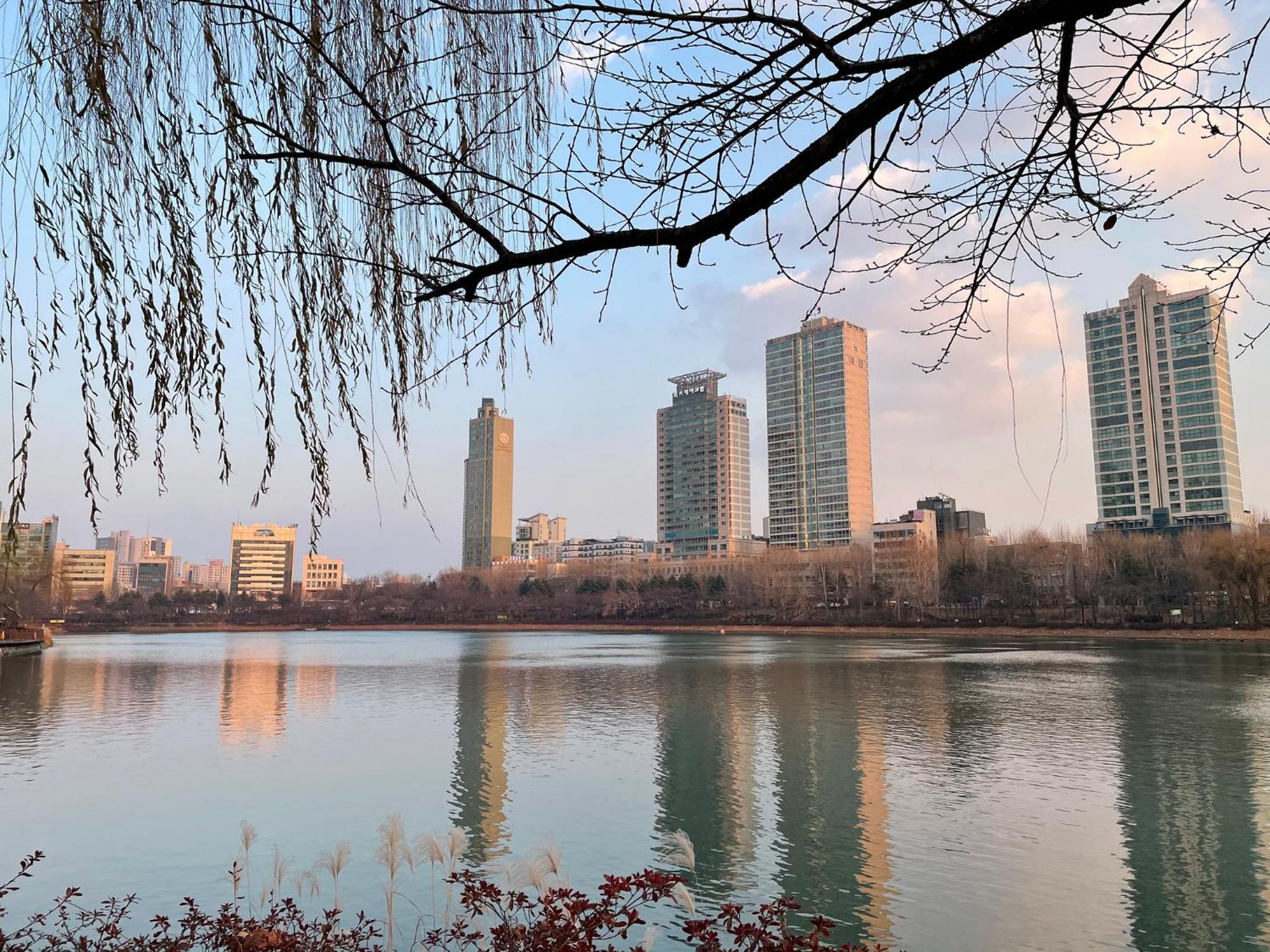 Cozy Gangnam Jamsil Kspo Dom Seoul